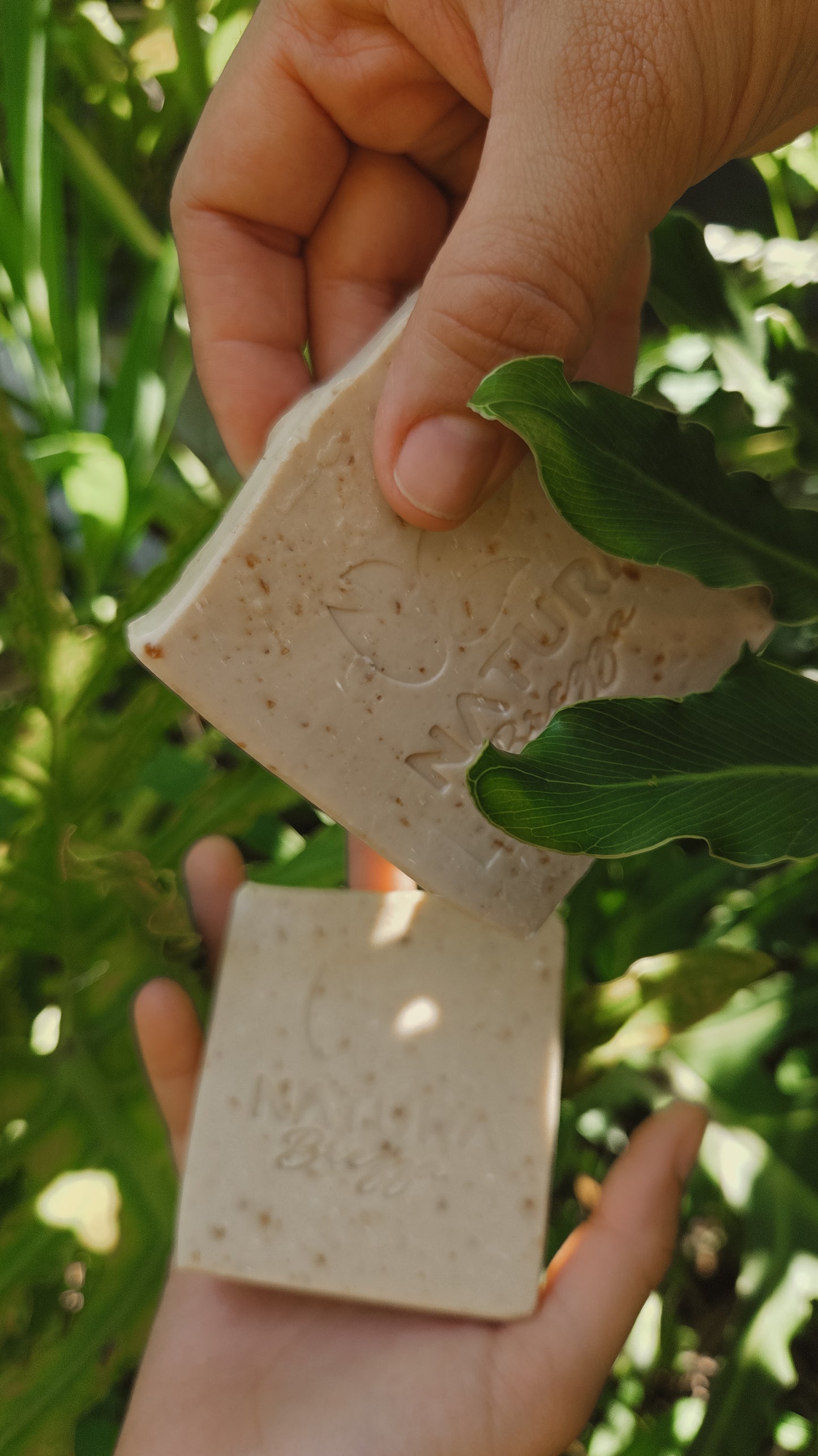 Avena, Leche y Miel