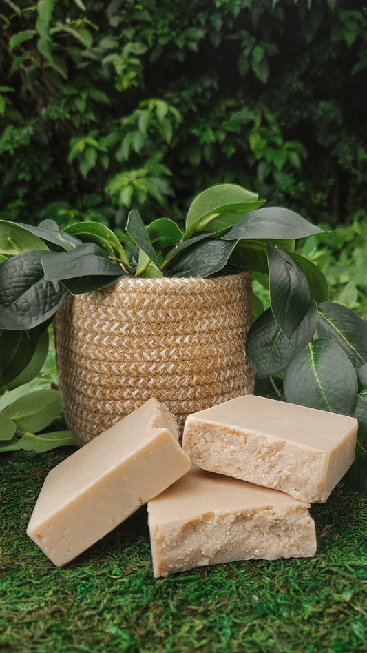 Coconut Paradise